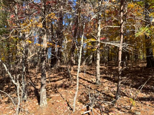 Lot 72 Gap Bridge Road Moneta, VA 24121 - Photo 4 of 10 IMG_6831