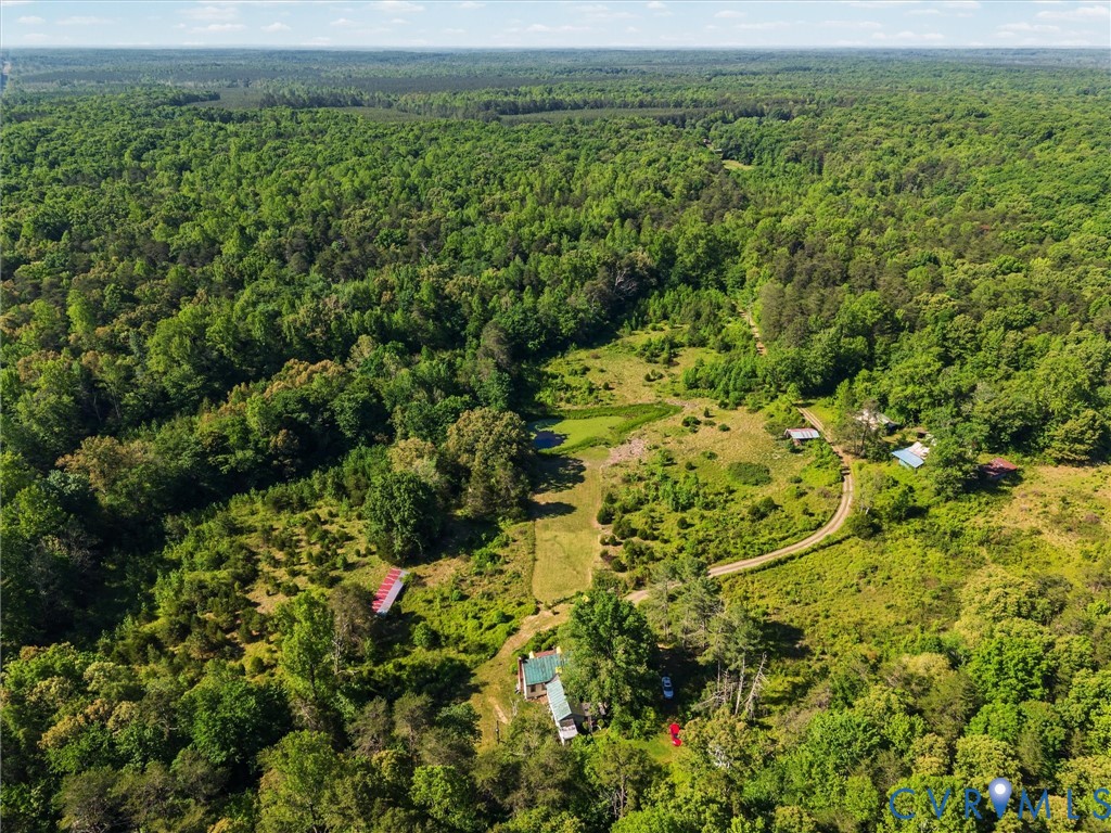265 Signboard Road Bumpass, VA 23024 - Photo 6 of 39 Expansive wooded acreage featuring multiple cleari