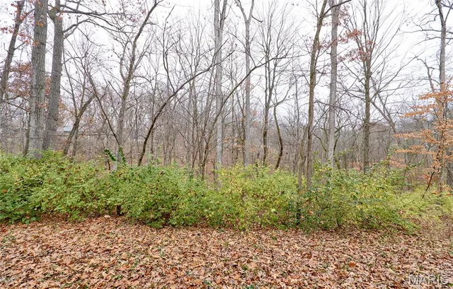 $479,900 | 14844 Ralls Drive, Troy, MO 63379