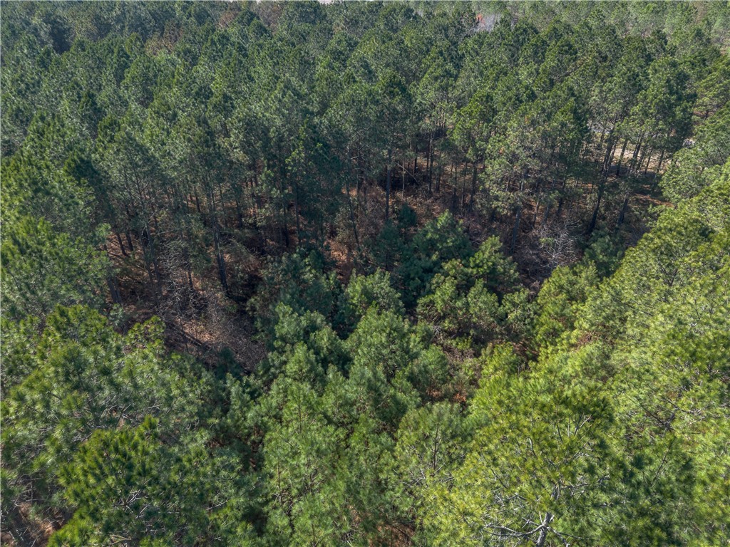 Lot 4 Ben Giddens Road Eastman, GA 31023 - Photo 7 of 10