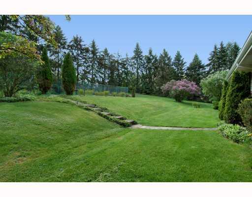 327 Amsler Road Economy, PA 15143 - Photo 14 of 16 Yard/Garden.
