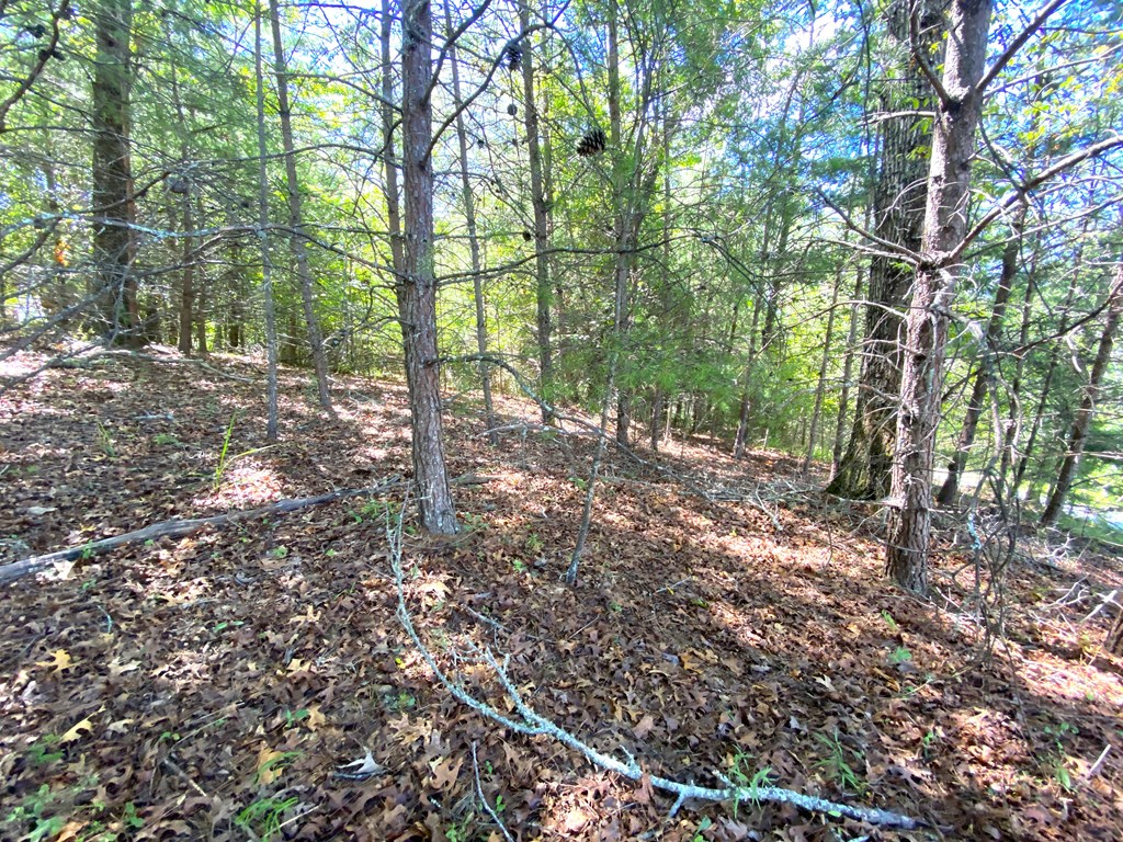 0 Pin Oak Ridge Murphy, NC 28906 - Photo 4 of 12