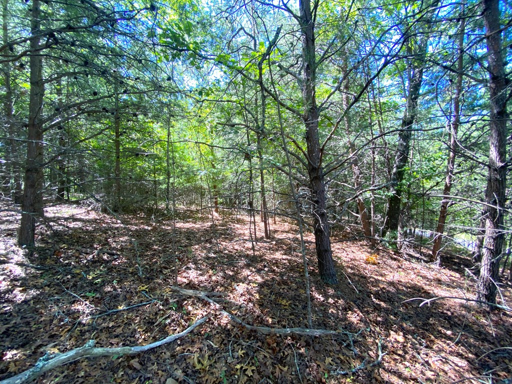 0 Pin Oak Ridge Murphy, NC 28906 - Photo 6 of 12