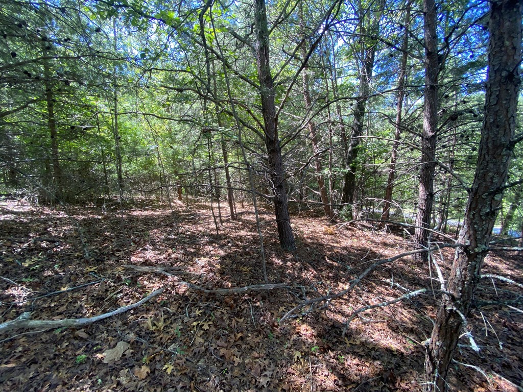 0 Pin Oak Ridge Murphy, NC 28906 - Photo 7 of 12