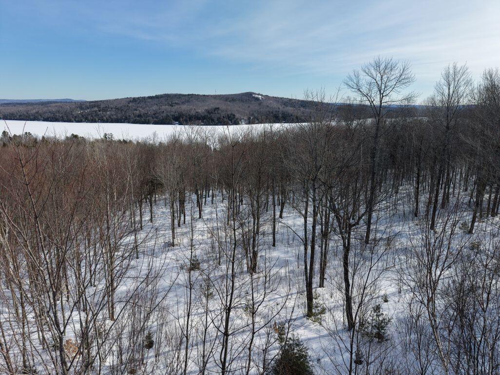 M7-l13-1 Pine Bluff Road Embden, ME 04958 - Photo 15 of 22
