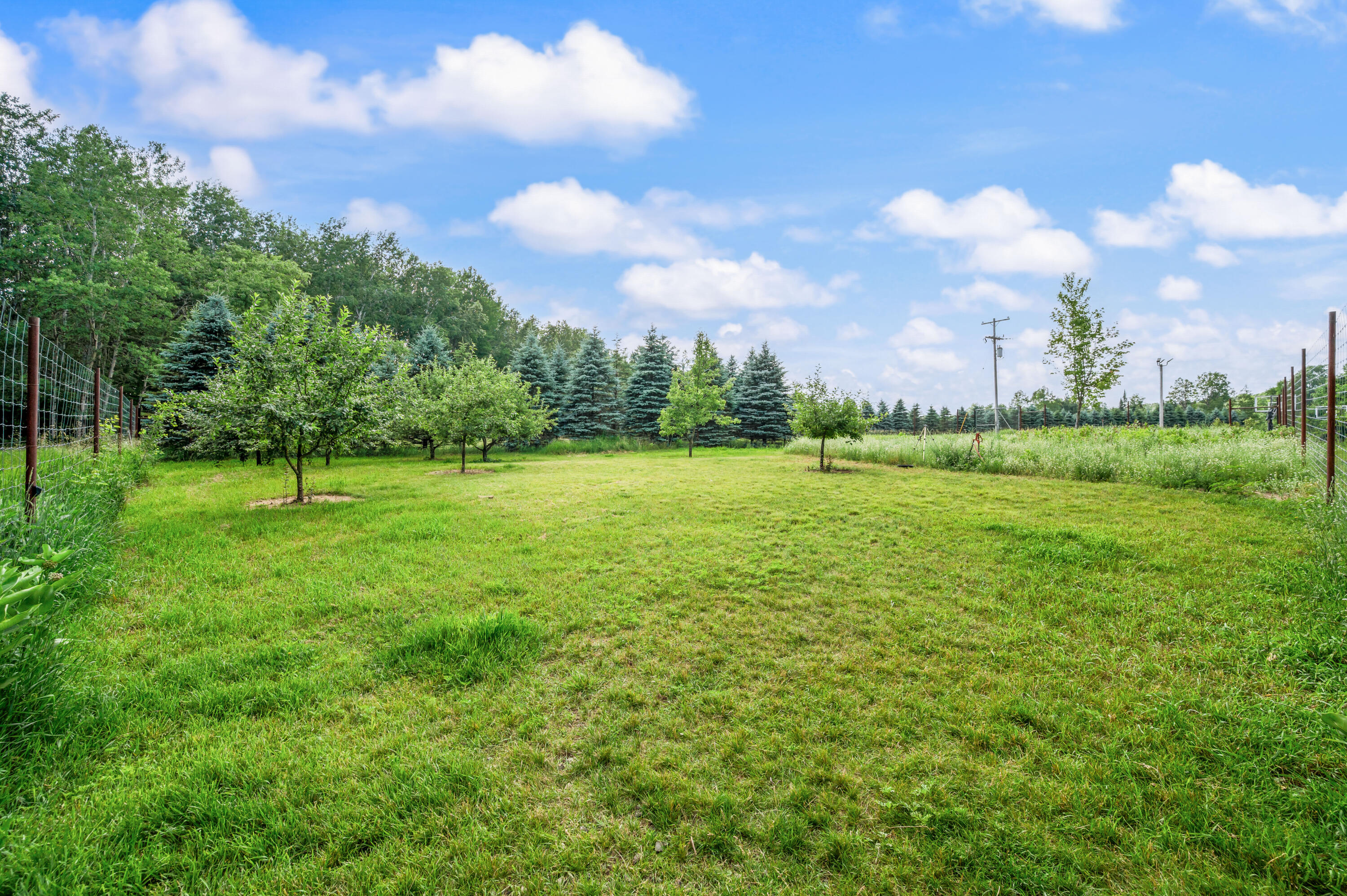 6299 West Falmouth Road McBain, MI 49657 - Photo 72 of 82 6299-WFalmouthRd-McBain-71