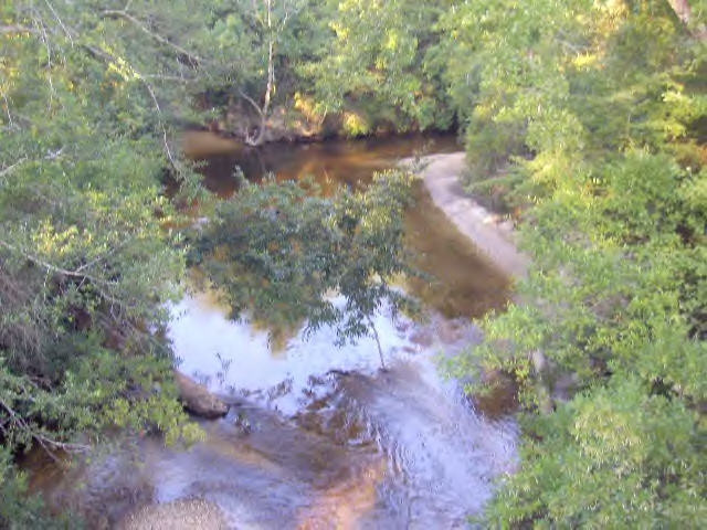 Luther Saucier Road Lumberton, MS 39455 - Photo 1 of 1 Main View