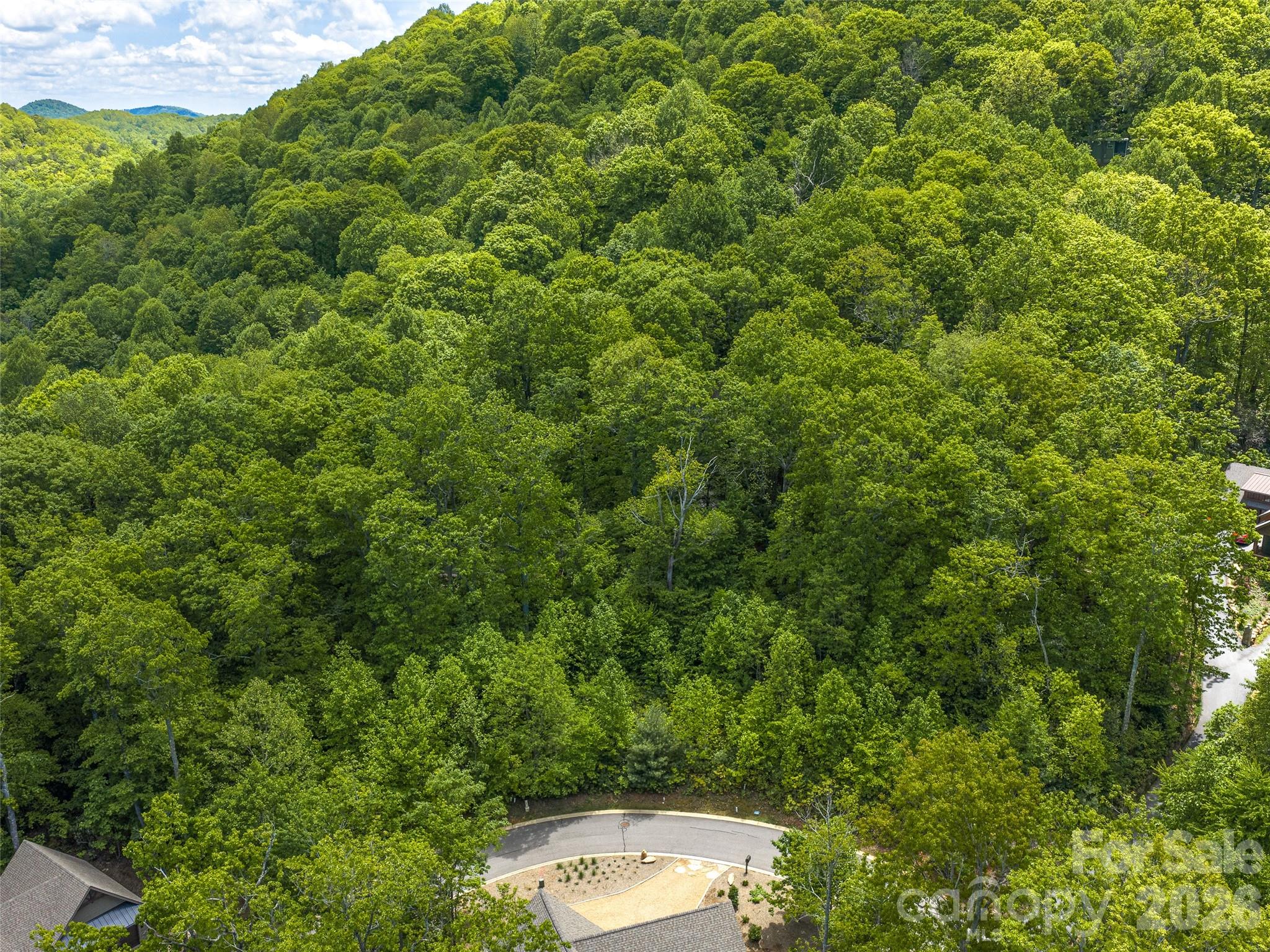 11 Crockett Ridge Road Black Mountain, NC 28711 - Photo 12 of 19 a view of a outdoor space with a sink