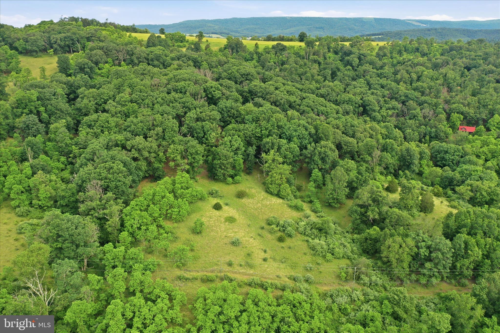 11.95-ac Luxemburg Road Baker, WV 26801 - Photo 14 of 23