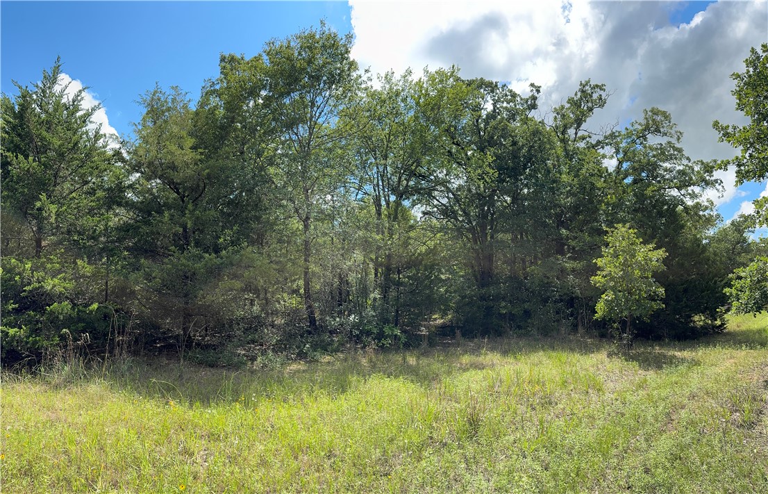 Tbd Pin Oak Road Franklin, TX 77856 - Photo 5 of 11 7.5 Ac Meadow Pic