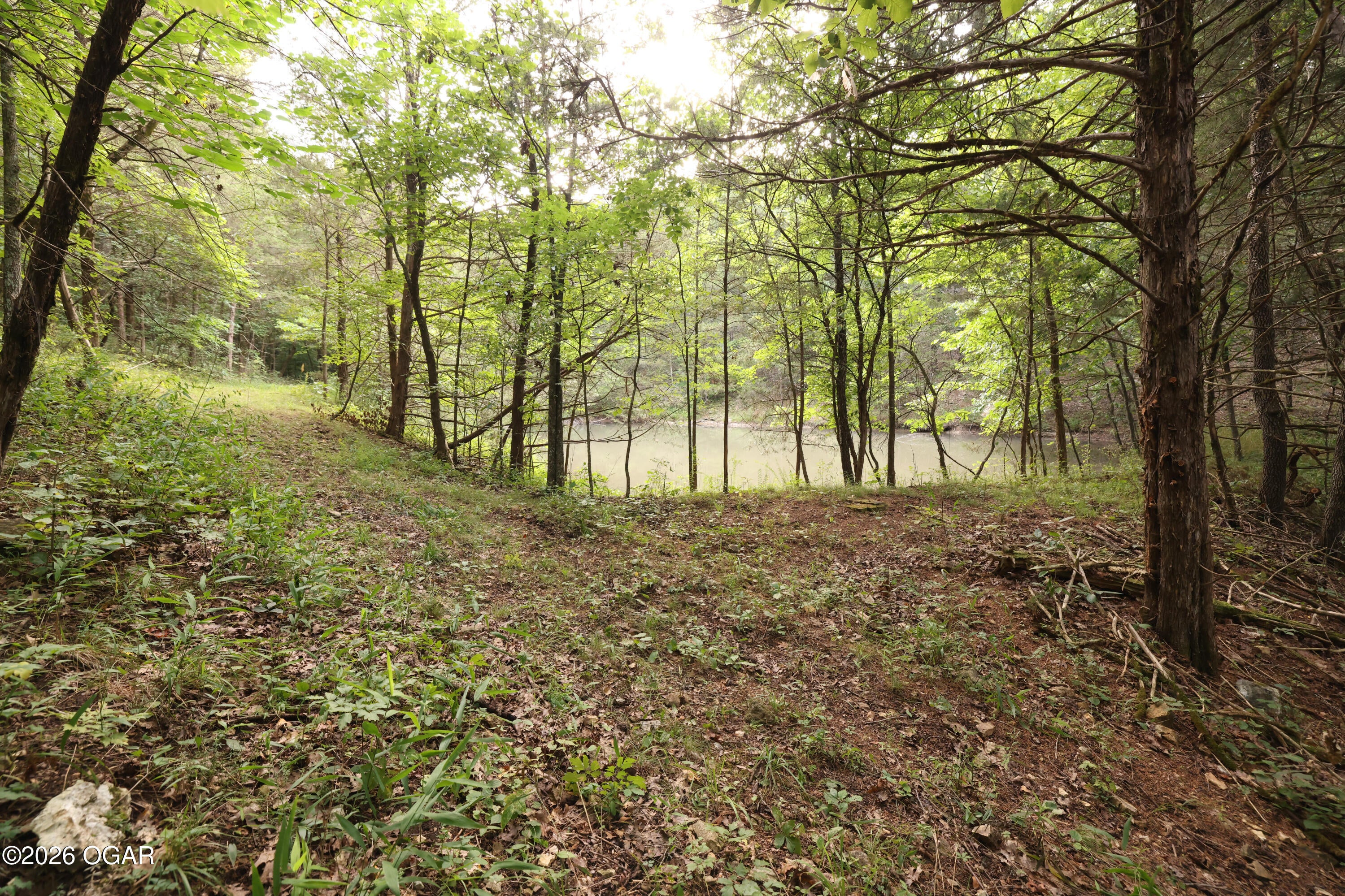 861 Tilden Road Galena, MO 65656 - Photo 27 of 67 Gallery Image 27