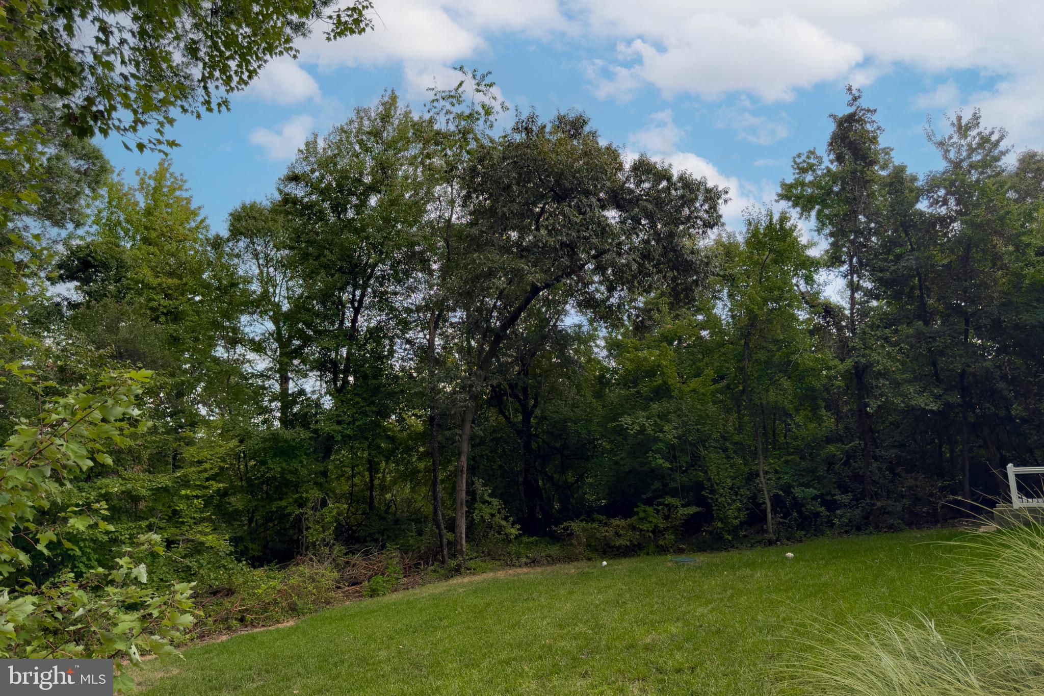 898 Marigold Road Glen Burnie, MD 21060 - Photo 26 of 33 a view of green field with trees in the background