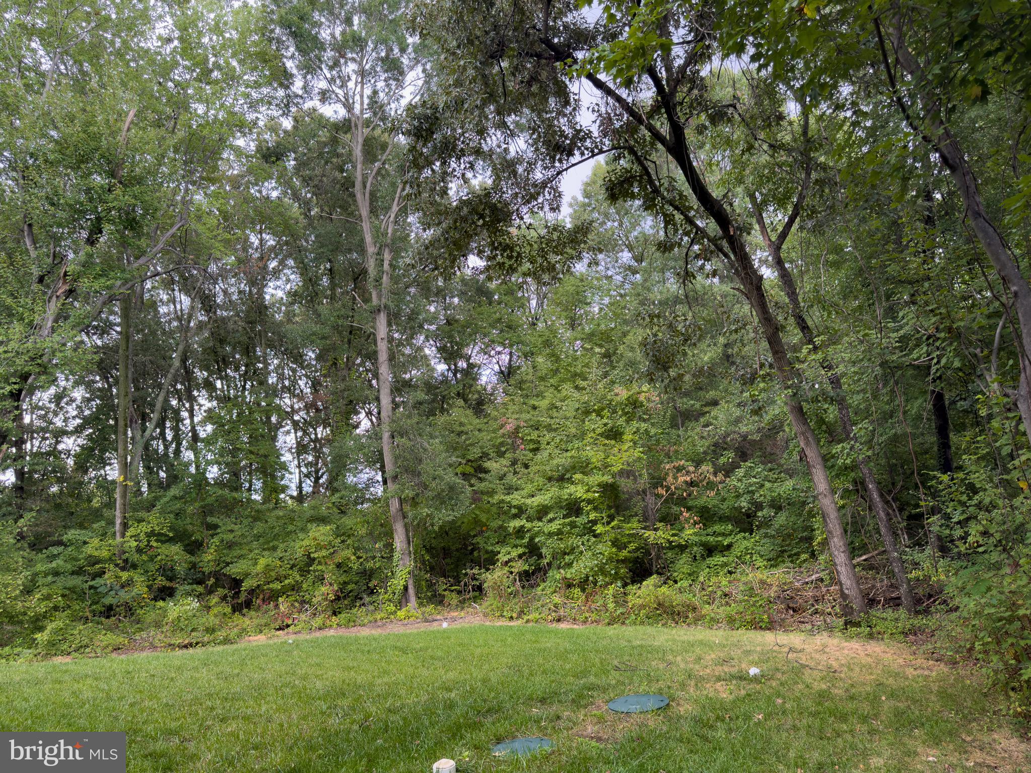 898 Marigold Road Glen Burnie, MD 21060 - Photo 27 of 33 a view of a garden with a tree