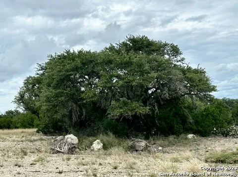 $93,000 | 32901 Highway 55, Uvalde, TX 78801