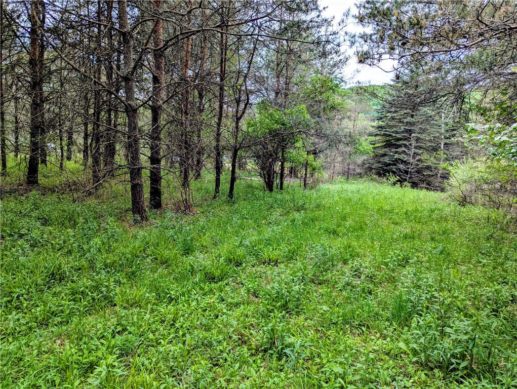 0 Two 2 Mile Road Port Allegany, PA 16743 - Photo 6 of 29