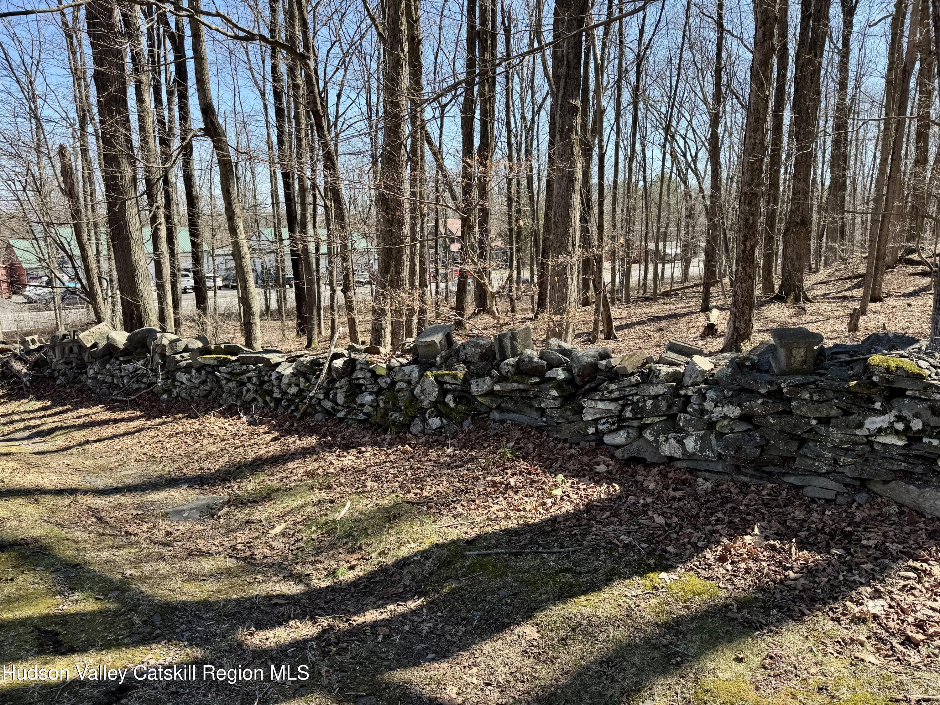 6339-6347 Highway 32 Catskill, NY 12413 - Photo 30 of 35 a view of a backyard of the house