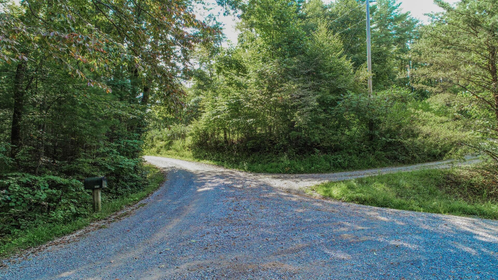 6.42-ac Green Hill Road Del Rio, TN 37727 - Photo 14 of 38 DJI_0013