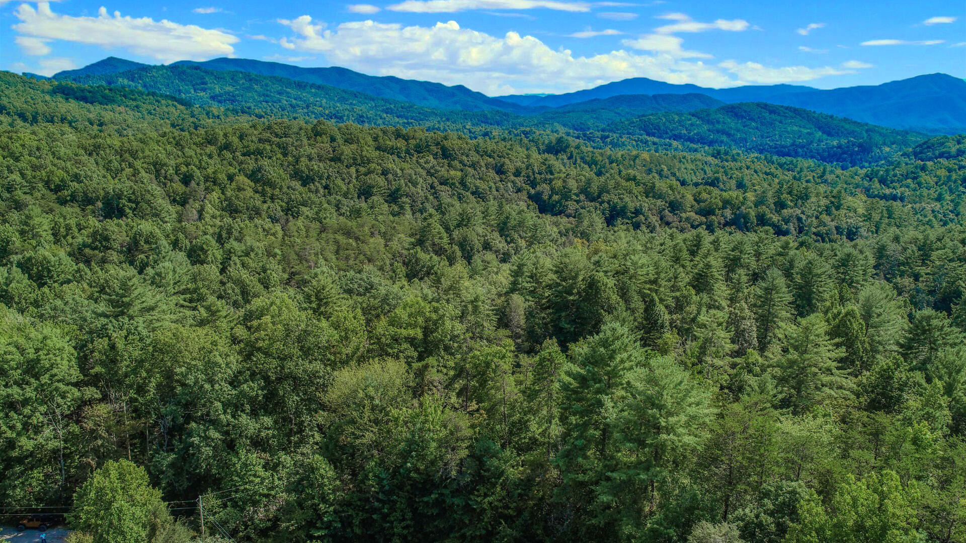 6.42-ac Green Hill Road Del Rio, TN 37727 - Photo 3 of 38 DJI_0001ps