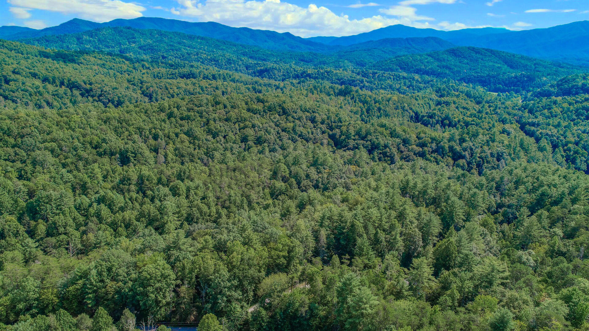 6.42-ac Green Hill Road Del Rio, TN 37727 - Photo 4 of 38 DJI_0002ps