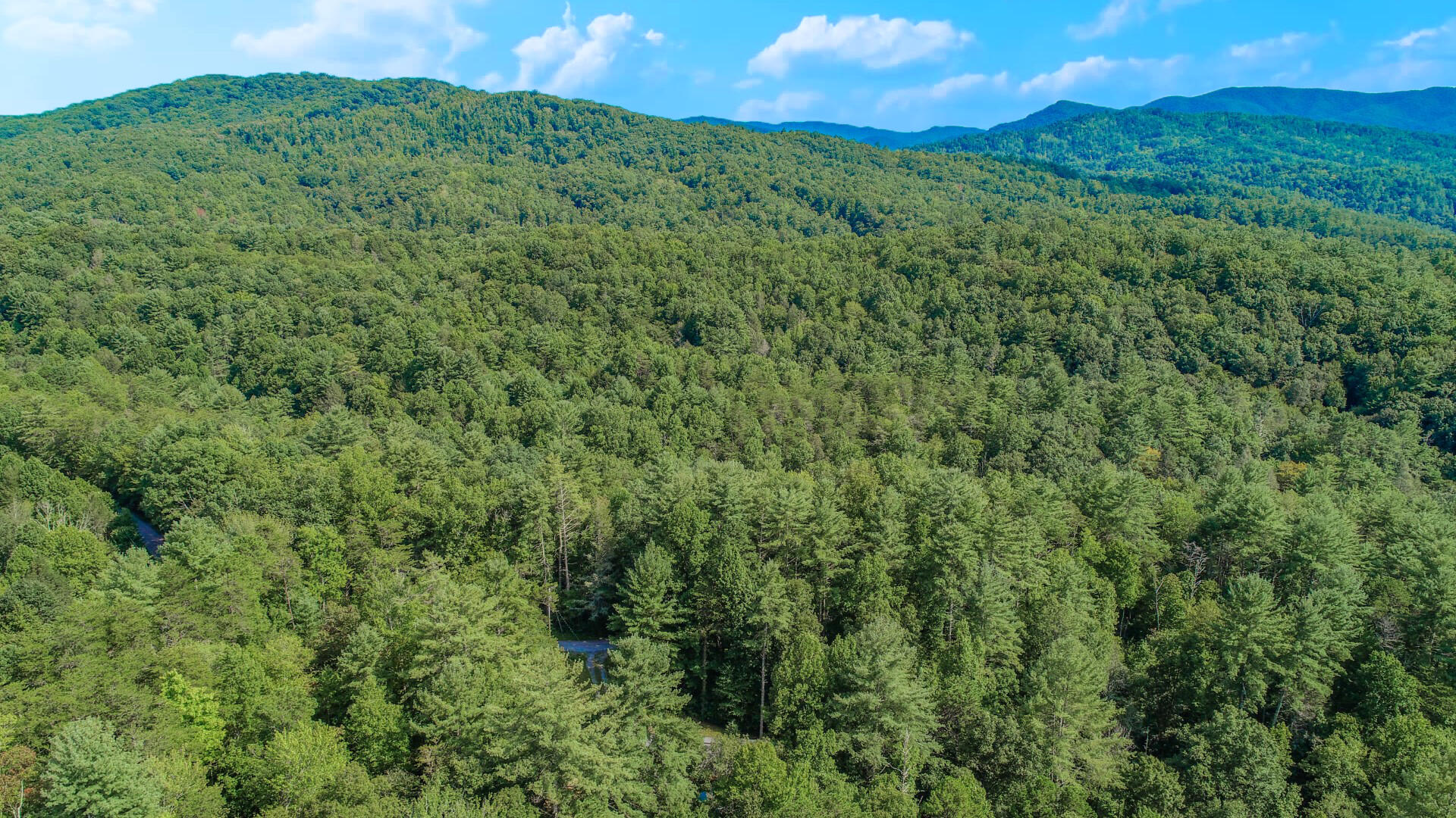 6.42-ac Green Hill Road Del Rio, TN 37727 - Photo 5 of 38 DJI_0004ps