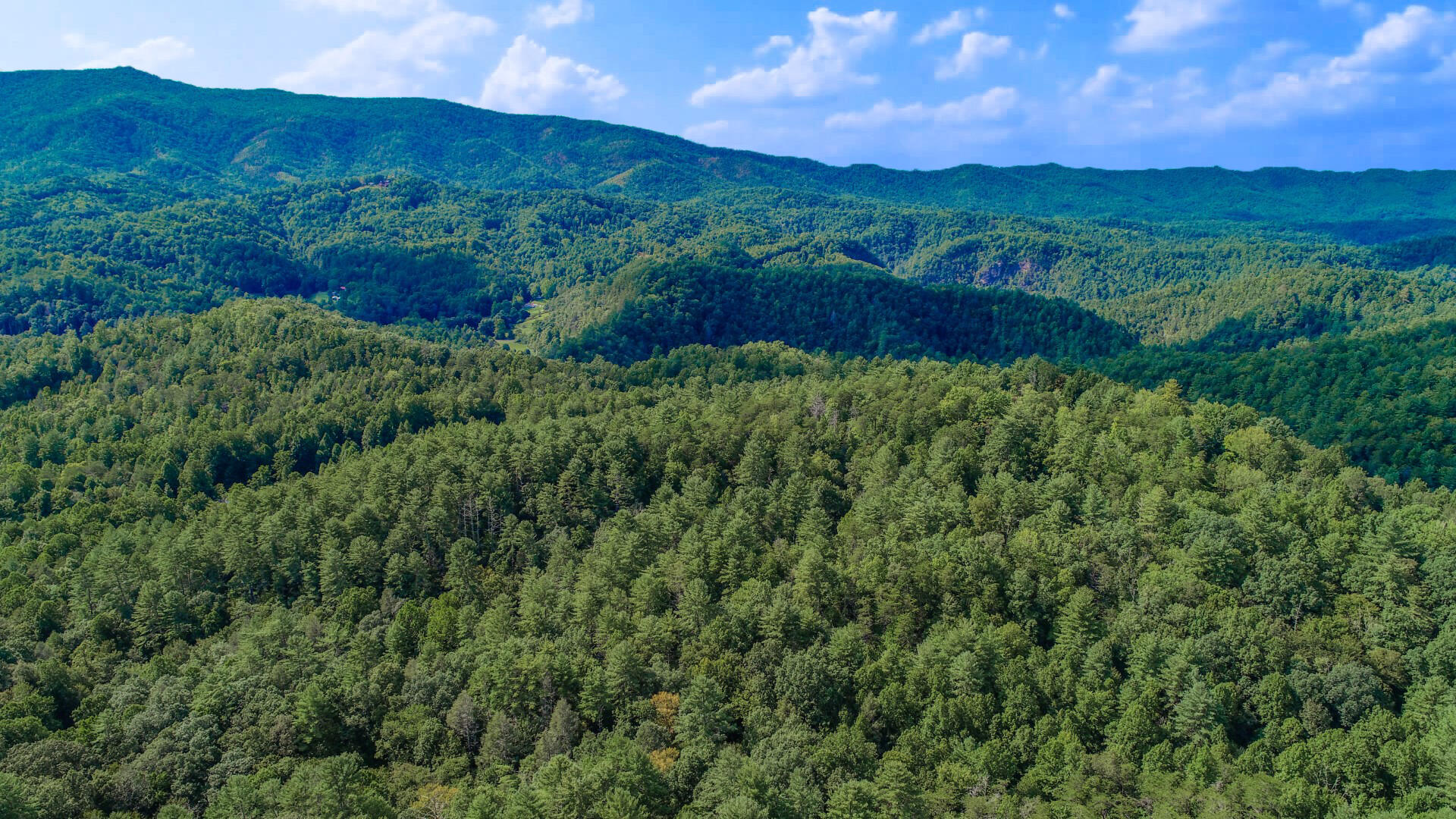 6.42-ac Green Hill Road Del Rio, TN 37727 - Photo 8 of 38 DJI_0007ps