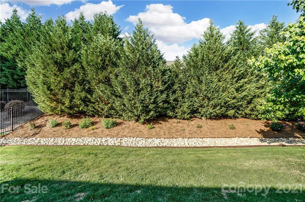 827 Solandra Way Fort Mill, SC 29708 - Photo 42 of 43 a view of a yard