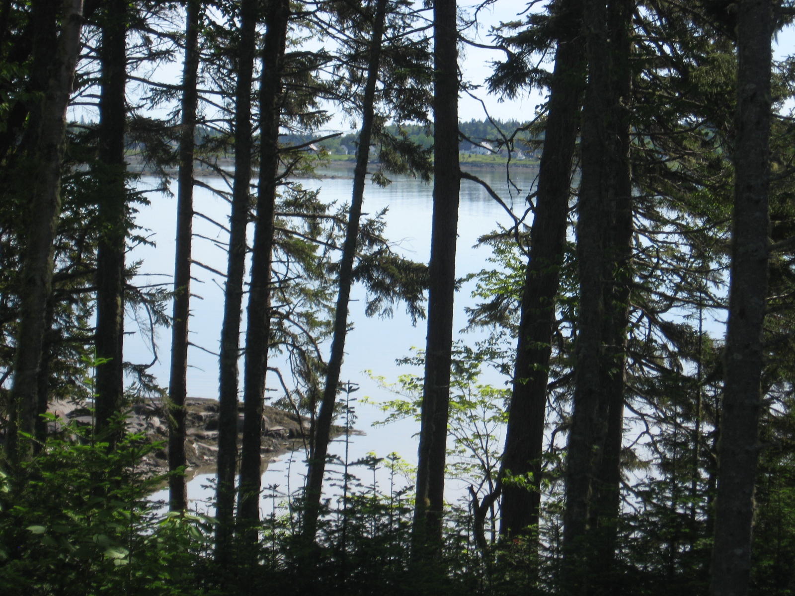 8 Seaside Drive Addison, ME 04606 - Photo 7 of 7 IMG_0007