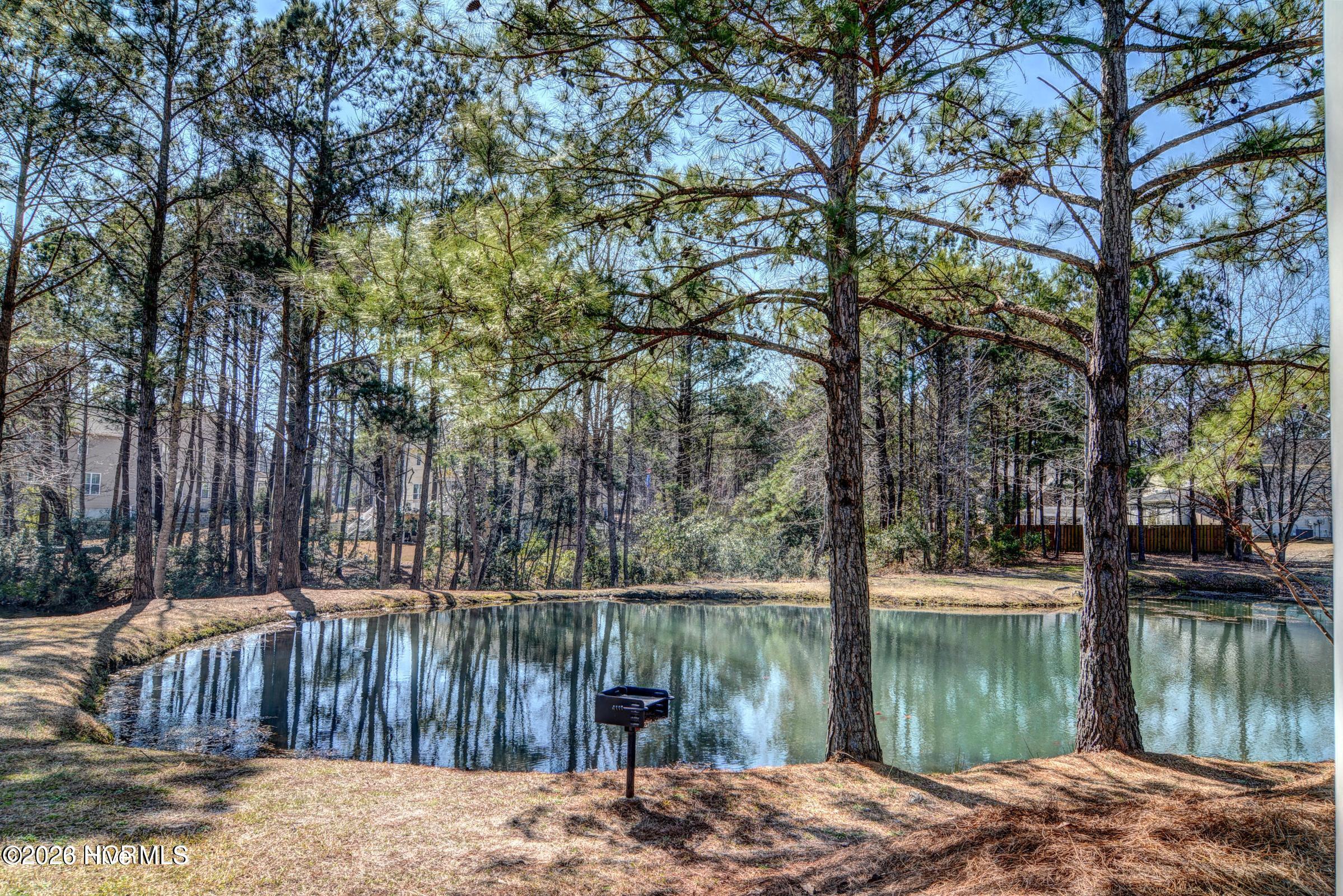 151 Cornel Lane Hampstead, NC 28443 - Photo 11 of 11 DWL - 1
