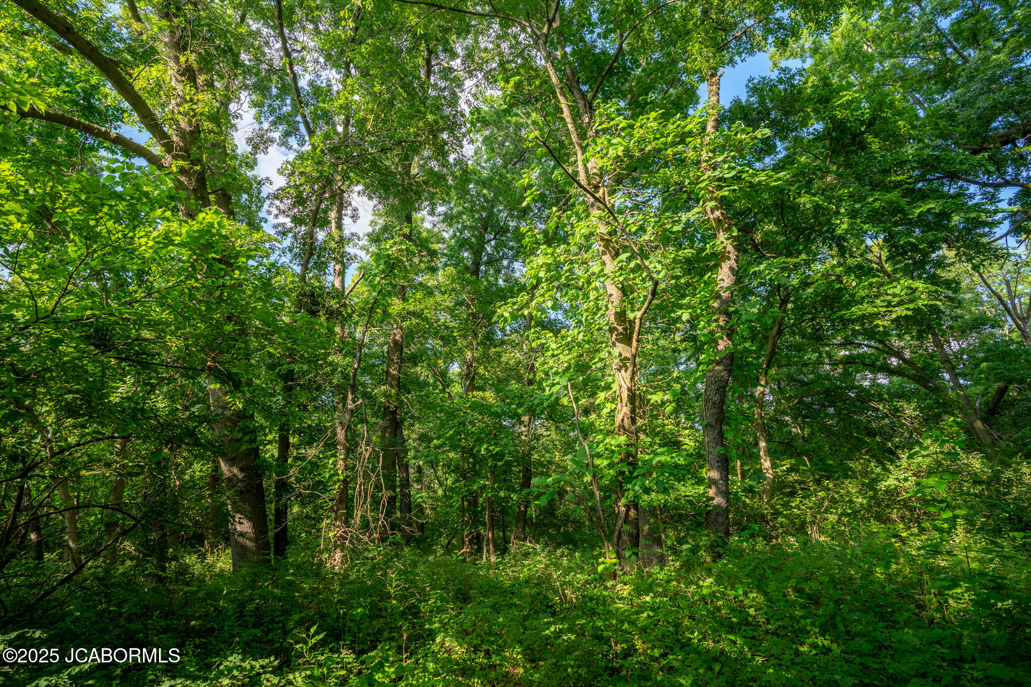 0 Audrain County Road Mexico, MO 65265 - Photo 10 of 12