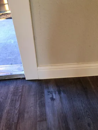 $1,195 | 3100 5th Street, Unit 201, Sachse, TX 75048