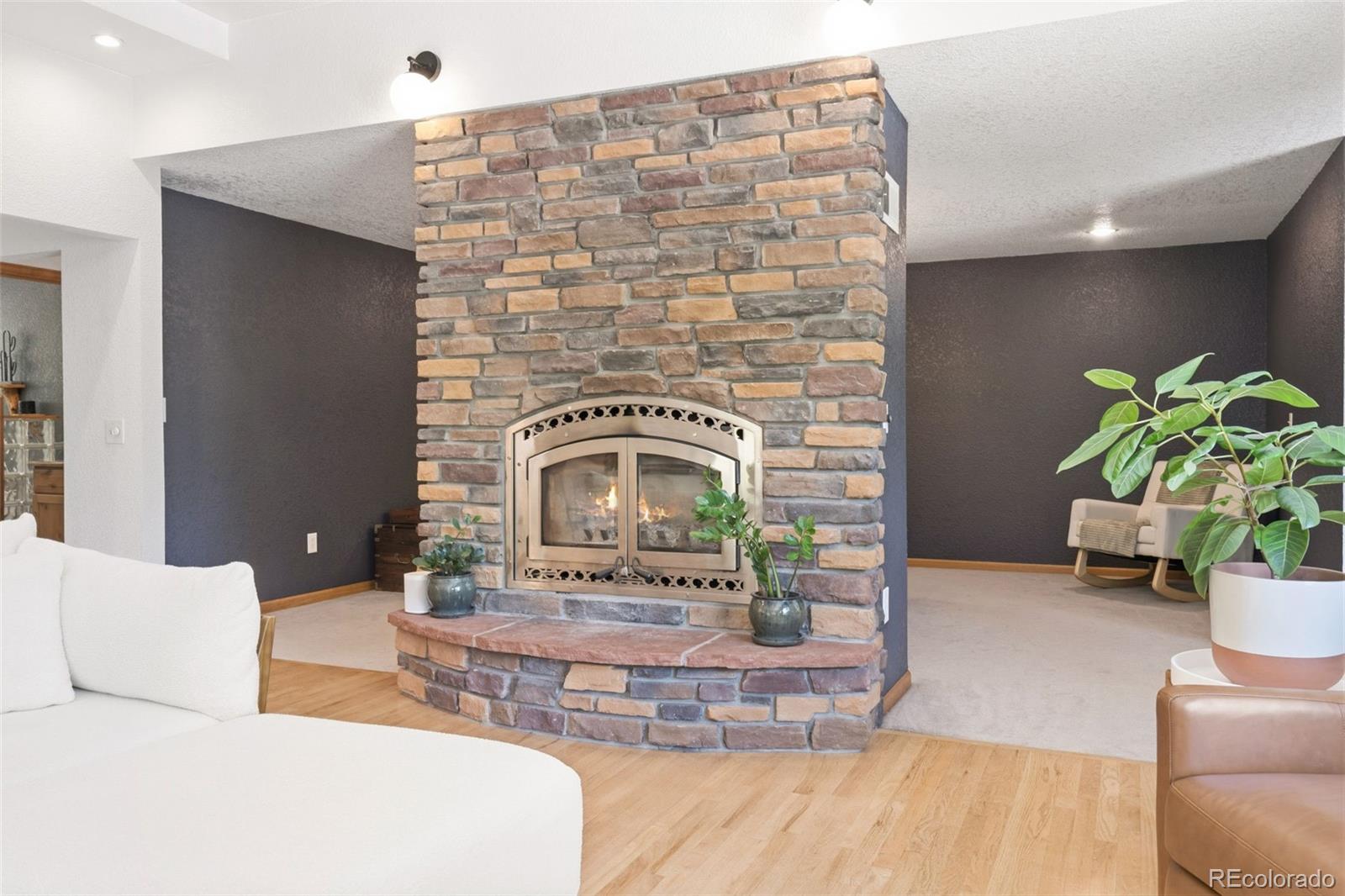 384 Brookside Drive Bailey, CO 80421 - Photo 10 of 50