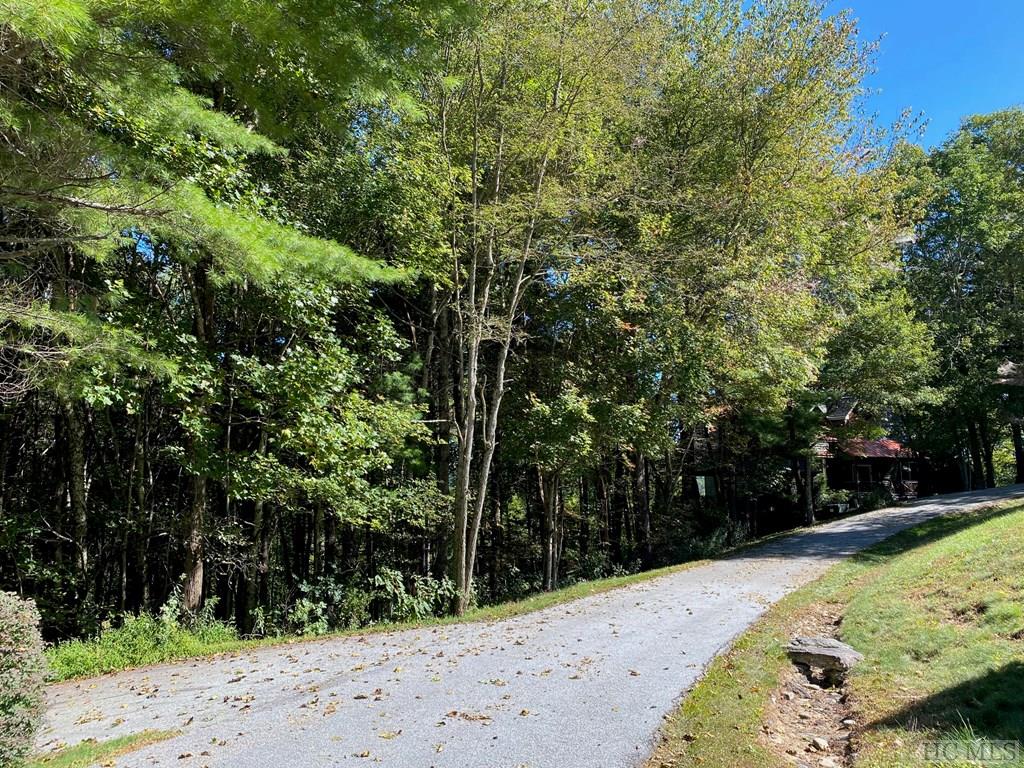 219 Drystack Way Cashiers, NC 28717 - Photo 2 of 4 Gallery Image 2