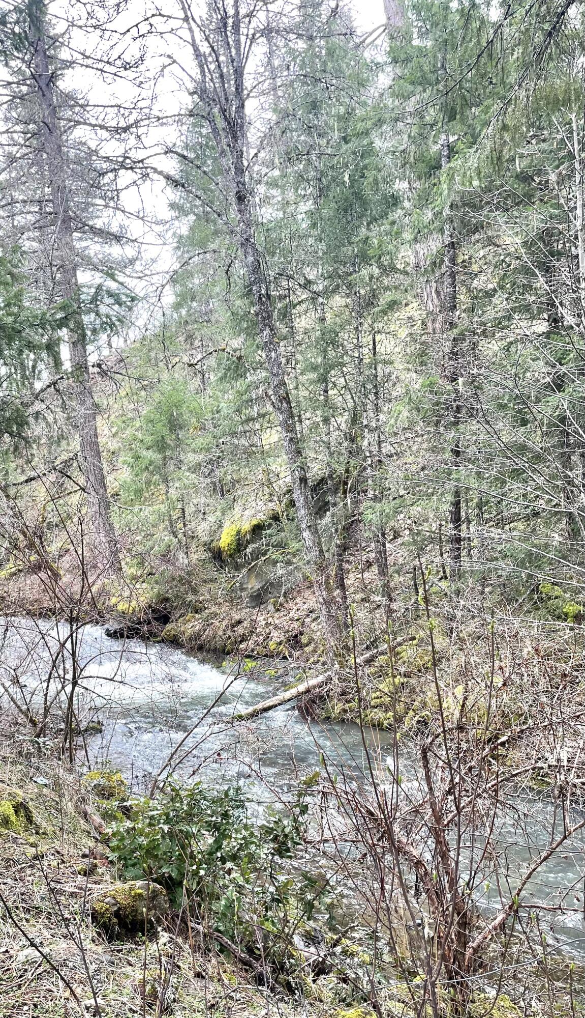 15000 Elk Creek Road Trail, OR 97541 - Photo 40 of 48 44AB21E5-359C-4A3D-925F-A830A51E0697