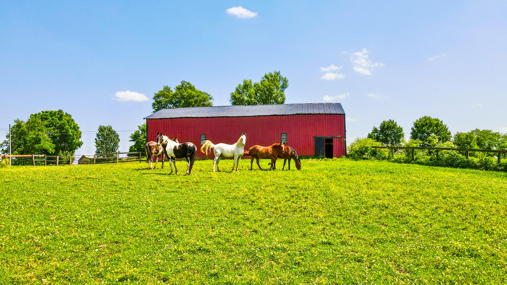 6655 Cull Road New Liberty, KY 40355 - Photo 46 of 50 Gallery Image 46