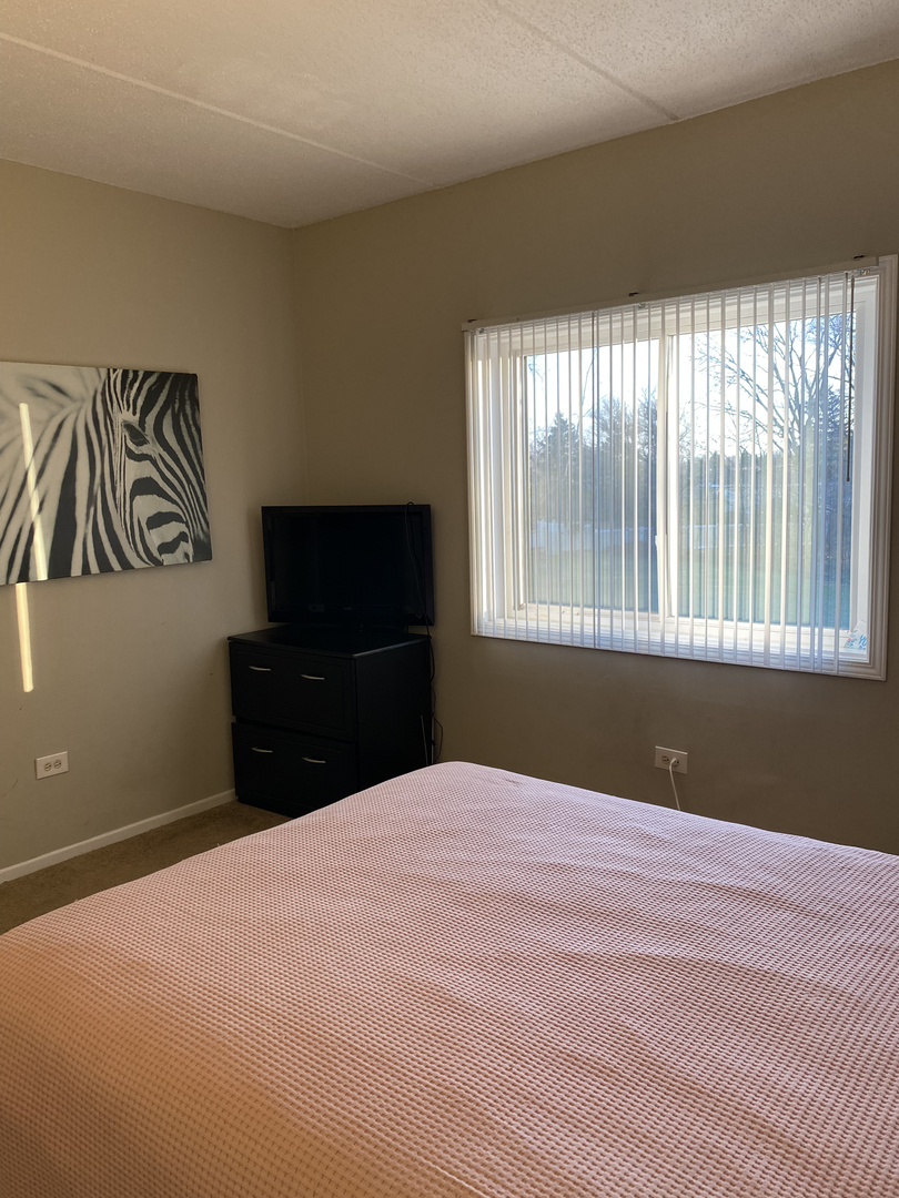 970 North Rohlwing Road, Unit 201A Addison, IL 60101 - Photo 14 of 21 Gallery Image 14