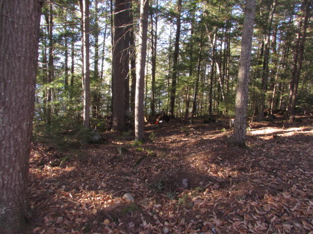 Lot 8 Bluff Road Enfield, ME 04493 - Photo 6 of 14 IMG_1965 (1)