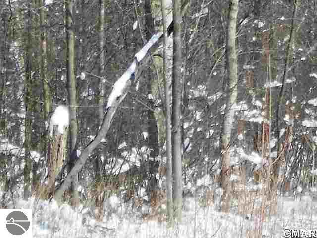 Tbd East Adams Road Wheeler, MI 48662 - Photo 12 of 12 1764455-11.JPG
