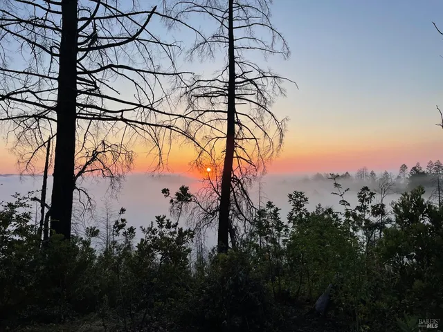 $1,599,998 | 3880 Spring Mountain Road, St. Helena, CA 94574