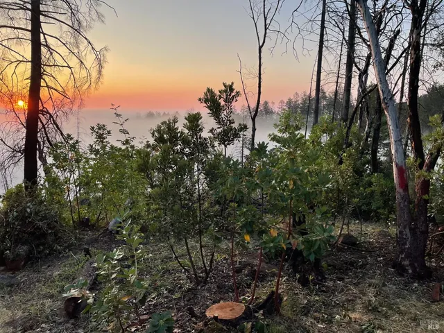 $1,599,998 | 3880 Spring Mountain Road, St. Helena, CA 94574