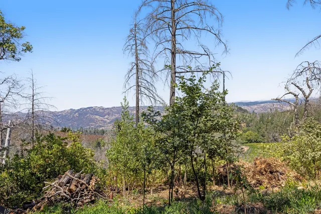 $1,599,998 | 3880 Spring Mountain Road, St. Helena, CA 94574