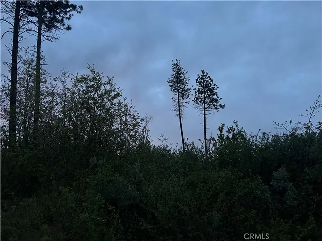 $75,000 | 1 Hog Ranch Road, Oroville, CA 95965