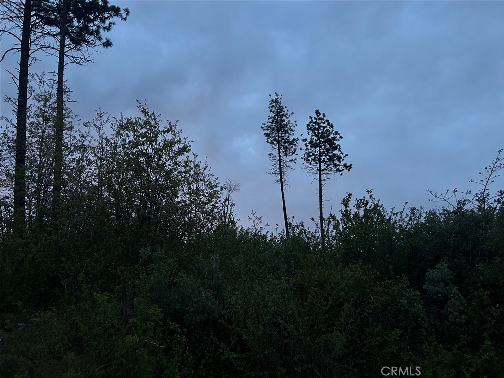 1 Hog Ranch Road Oroville, CA 95965 - Photo 3 of 4