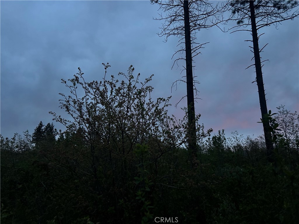 1 Hog Ranch Road Oroville, CA 95965 - Photo 4 of 4