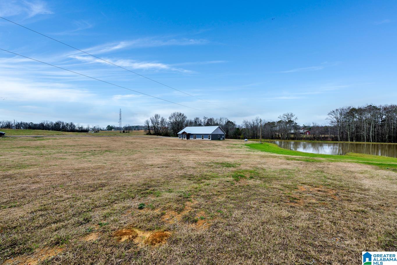 2712 Loop Road Steele, AL 35987 - Photo 40 of 45