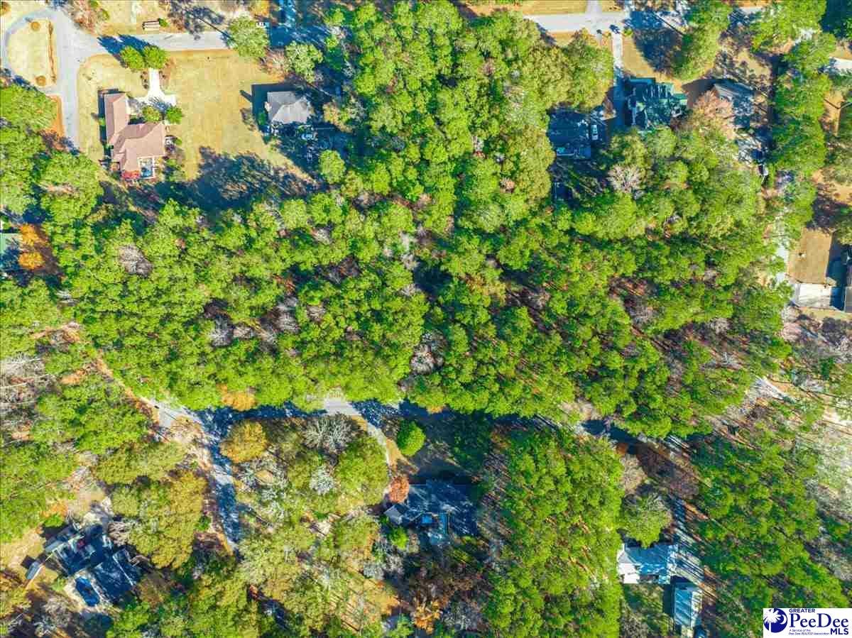 Tbd Country Club Road Darlington, SC 29532 - Photo 5 of 7 Gallery Image 5