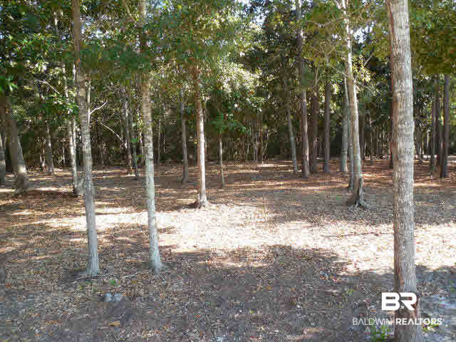 1 Magnolia Avenue Fairhope, AL 36532 - Photo 1 of 1