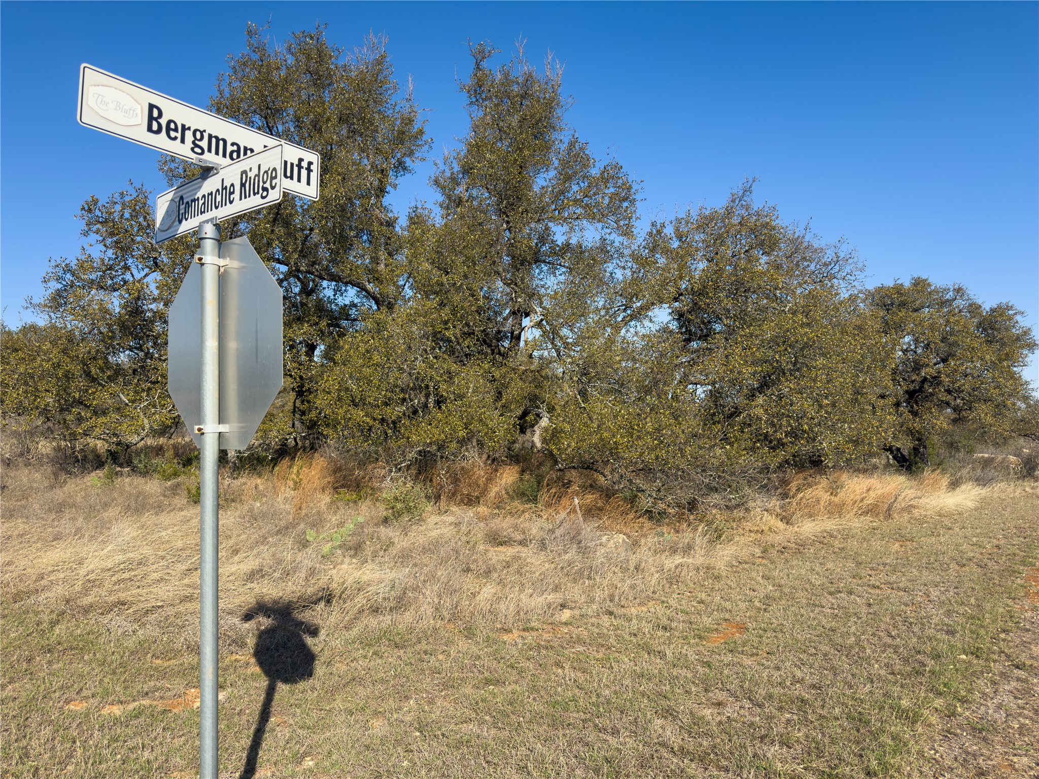Lot 20 Comanche Ridge Round Mountain, TX 78663 - Photo 29 of 34 STREET SIGNS