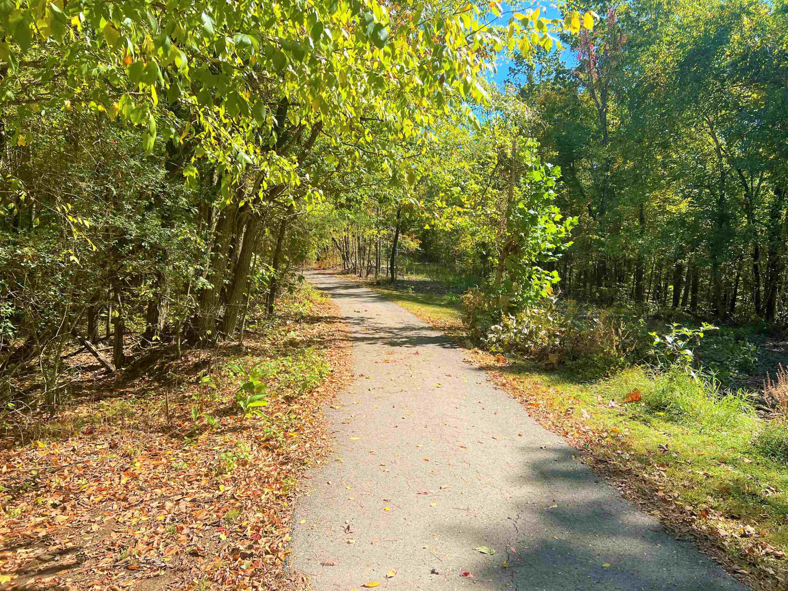 500 Fisher Gravel Pit Road Decaturville, TN 38329 - Photo 2 of 29 Photo 2