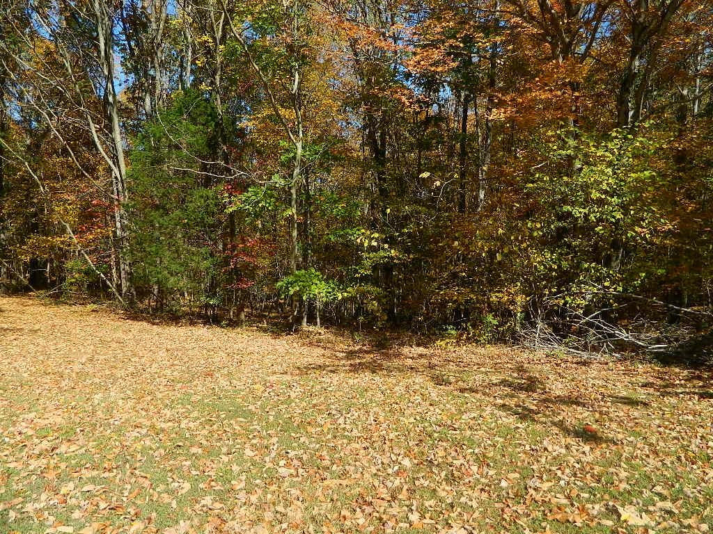 500 Fisher Gravel Pit Road Decaturville, TN 38329 - Photo 23 of 29 Photo 24
