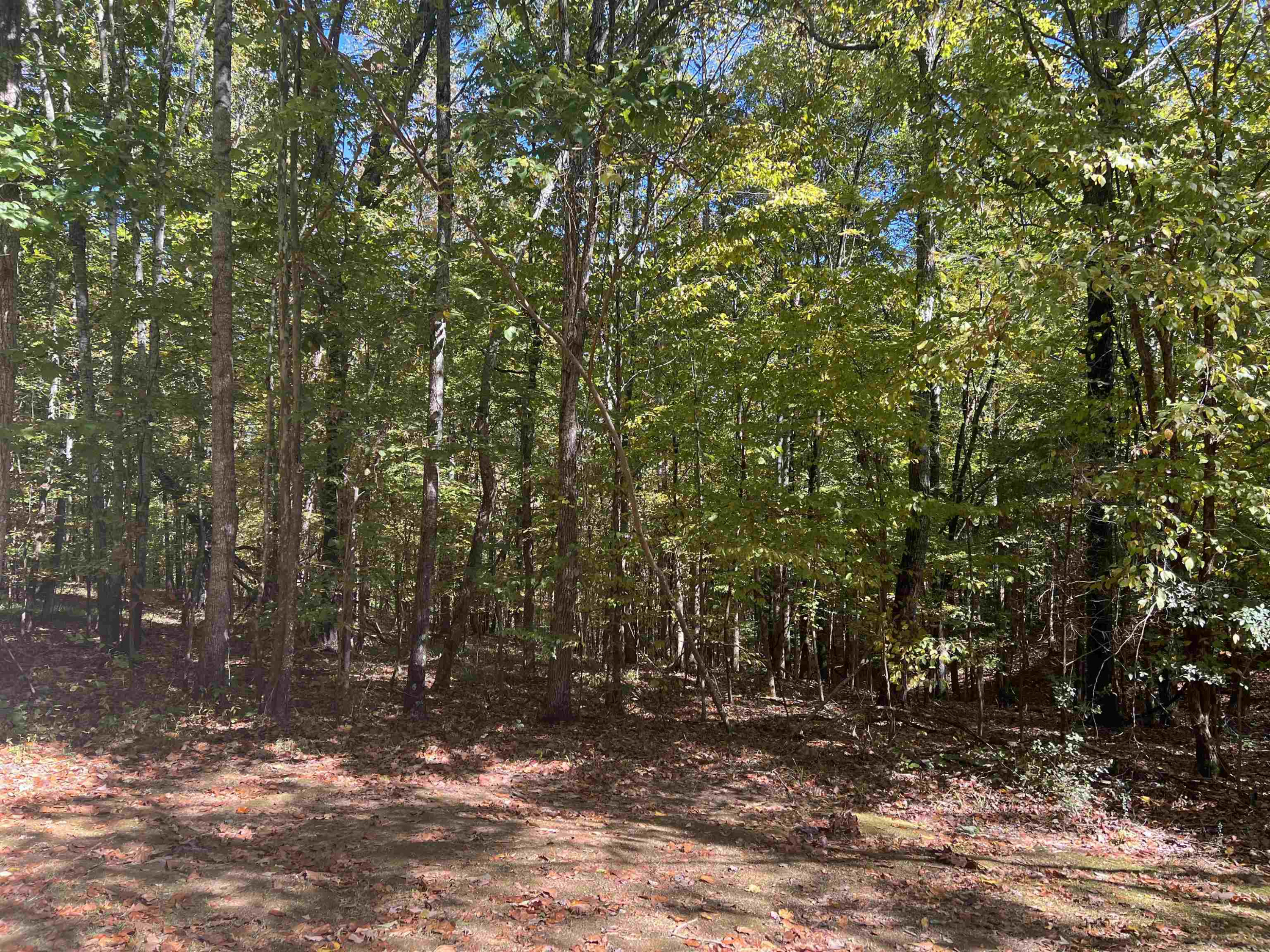 500 Fisher Gravel Pit Road Decaturville, TN 38329 - Photo 27 of 29 Photo 28